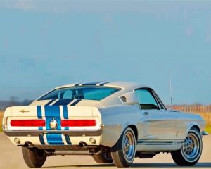 White Ford GT 500 Paint By Numbers