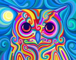 Colorful Owl Paint by numbers