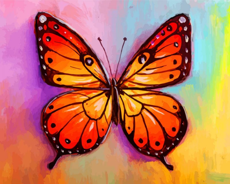 Monarch Butterfly Paint By Numbers - Numeral Paint Kit