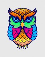 colorful-owl-(1)-paint-by-numbers