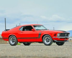 Ford Mustang Boss paint by numbers