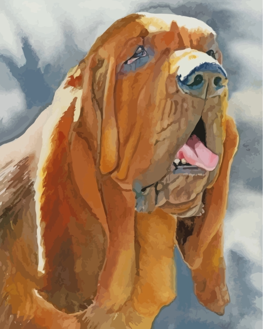 Bloodhound Dog Art Paint by numbers