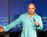 Joe-Rogan-paint-by-numbers