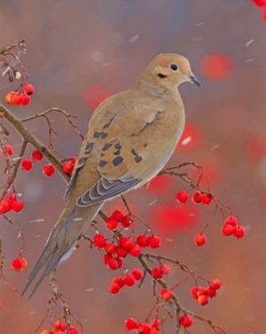 Mourning Dove Paint by numbers