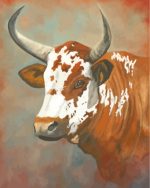 Nguni Cow Paint by numbers