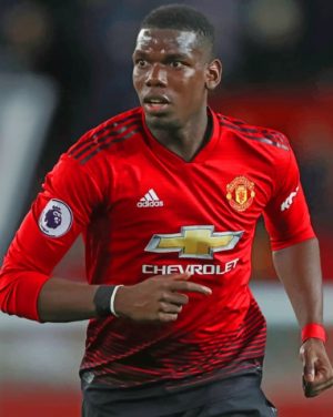 Paul Pogba Player Paint By Numbers