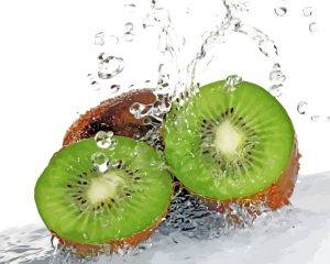 Sliced Kiwi In Water Paint by numbers
