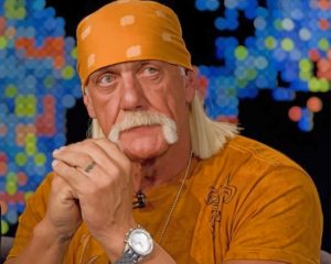 Terry Eugene Bollea Paint By Numbers