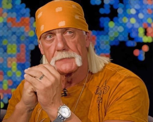 Terry-Eugene-Bollea-hulk-paint-by-numbers