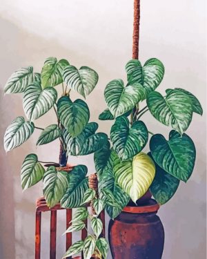 Aesthetic Philodendron Paint By Numbers