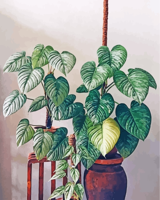 Aesthetic Philodendron Paint By Numbers