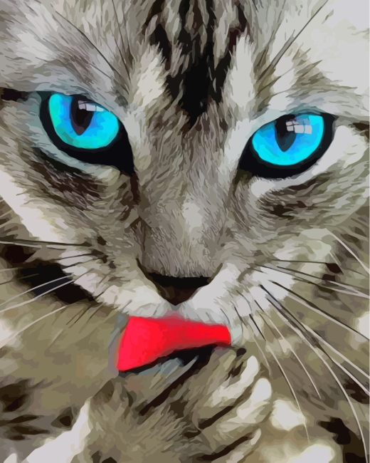 Aesthetic Cat Paint by numbers