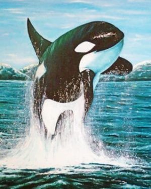 Whale Paint by numbers