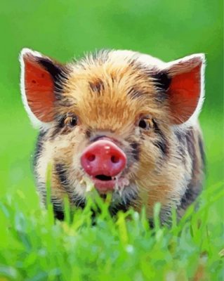 baby-boar-paint-by-number