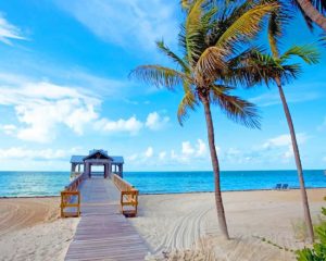 Aesthetic Florida Beach Paint By Numbers