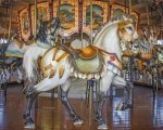 White Carousel Paint by numbers