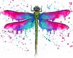 colorful-dragonfly-paint-by-numbers