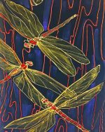 Dragonflies Paint By Numbers