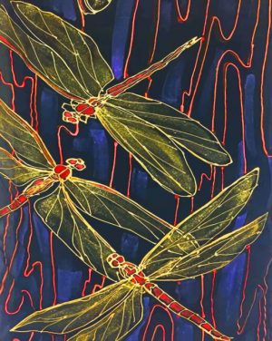 Dragonflies Paint By Numbers