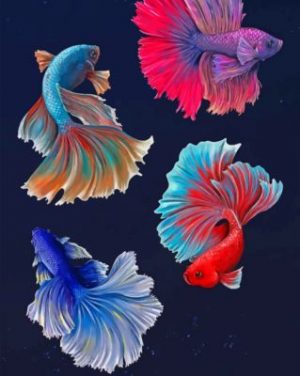 Betta Fishes Vector paint by numbers