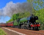 Flying Scotsman paint by numbers