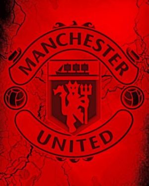 Manchester United Paint by numbers