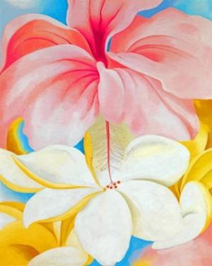Nybg Georgia O Keeffe Hibiscus paint by numbers