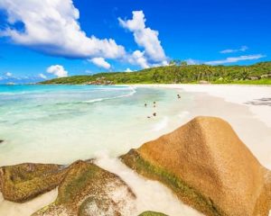 Petite Police Beach Paint by numbers