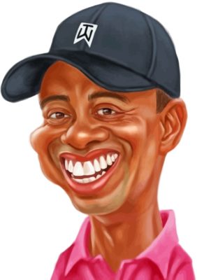 Tiger Woods Paint by numbers