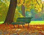 Autumn Bench paint by numbers