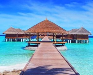 Broad Walk To Hut Paint by numbers