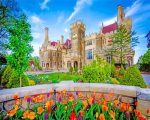 Casa Loma toronto paint by numbers
