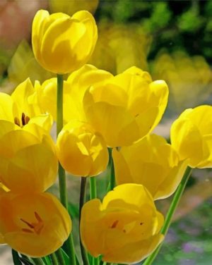 Crocus-flowers-paint-by-numbers