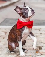 Dog With Red Bow Tie paint by number