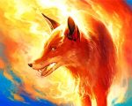 Fire Fox paint by number