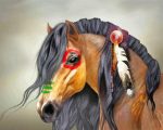 Indian Horse paint by numbers