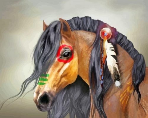 Indian Horse paint by numbers