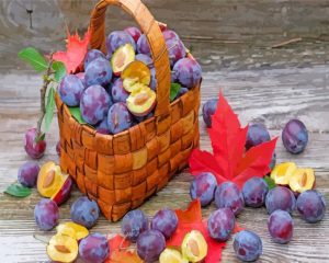 Plums Fruit Basket paint by numbers