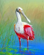 Roseate spoonbill Bird Animal paint by number