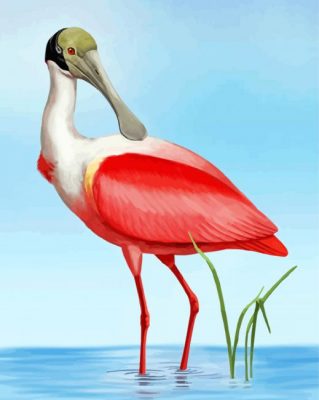 Spoonbill Bird paint by numbers
