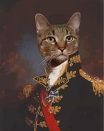 The-General-Cat-paint-by-numbers