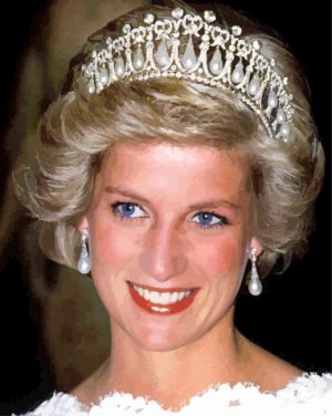 The Princess Diana paint by numbers