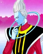 Whis Dragon Ball Super paint by numbers