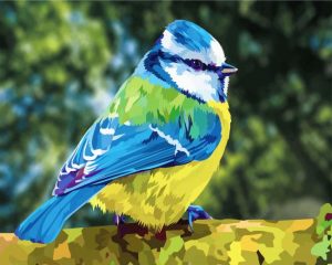 Beautiful Blue Tit paint by numbers