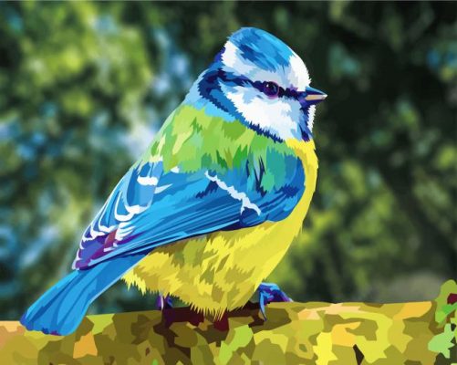 Beautiful Blue Tit paint by numbers