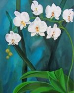 Aesthetic Orchid Flowers paint by numbers