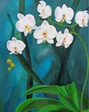 Aesthetic Orchid Flowers paint by numbers