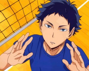 akaashi keiji paint by numbers
