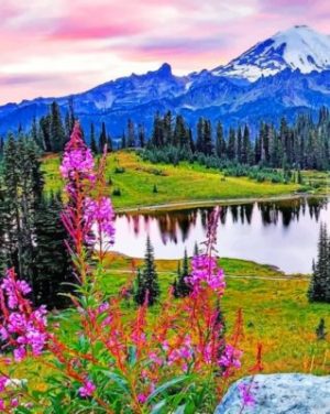 Mount Rainier National Park Paint By Numbers