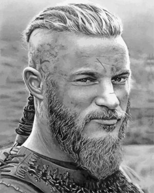 Black And White Vikings Ragnar paint by number
